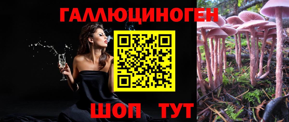 Галлюциногенные грибы мухоморы Амурск