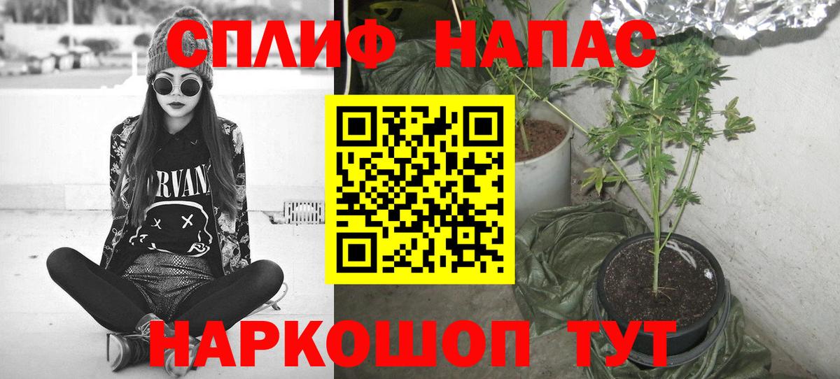 Шишки марихуана гибрид  Канабис сатива  Бошки Шишки SATIVA & INDICA  Амурск  Вход с VPN 